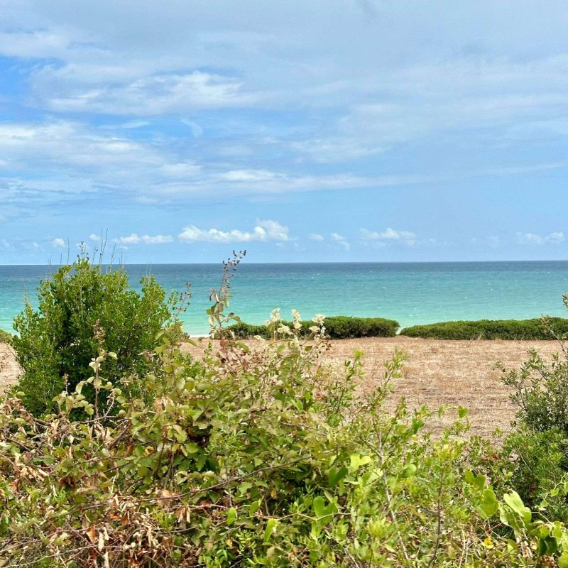 spiaggia incontaminata